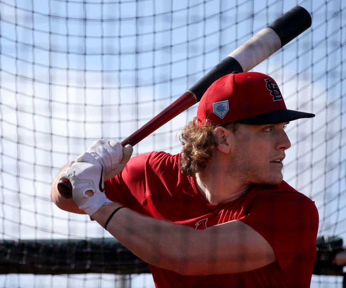 Cardinals spring training continues